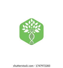 Dna tree vector logo design. DNA genetic icon. DNA with green leaves vector logo design.