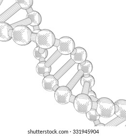 Dna vector