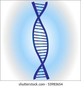 DNA vector
