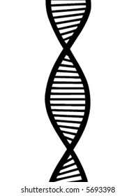 DNA vector