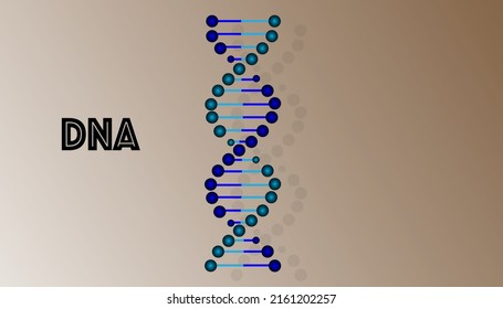 Dna vector flat icon, Dna concept