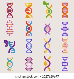 DNA vector genetic sign with genome or gene in biology medical research and DNAse or DNAbinding structure illustration set isolated on white background