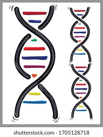 DNA-Vektorillustration-Symbol-Set. Sammlung von biologischen Illustrationen. Chromosomensymbol