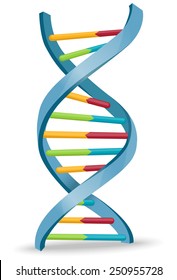 DNA - Vector illustration