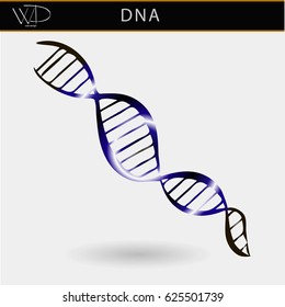 DNA vector illustration isolated at white background