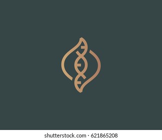 DNA vector logo design template. Modern medical logotype. Laboratory science icon symbol. Premium pharmacology sign