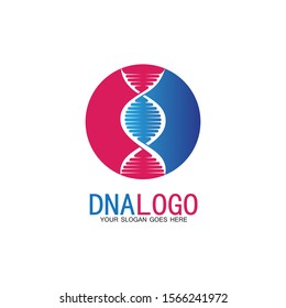 DNA vector logo design template.modern medical logotype.laboratory science icon symbol.colorful pharmacology sign-vector