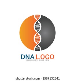 DNA vector logo design template.modern medical logotype.laboratory science icon symbol.colorful pharmacology sign-vector