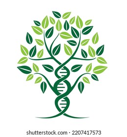 Diseño del logo del vector del ADN. Concepto de árbol de ADN con hojas verdes para medicina, investigación, laboratorio