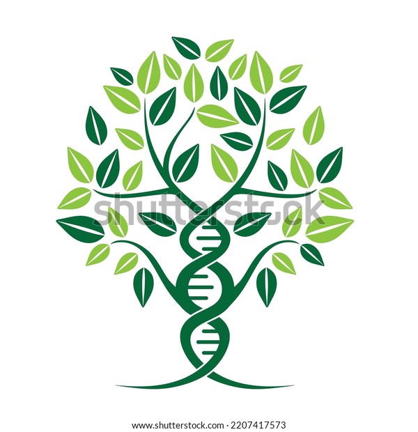 Dna Vector Logo Design Dna Tree Stock Vector (Royalty Free) 2207417573 ...