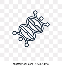 Dna vector outline icon isolated on transparent background, high quality linear Dna transparency concept can be used web and mobile