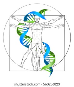 DNA Vitruvian man medical research concept with double helix and perfectly proportioned human figure