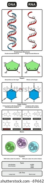 shutterstock