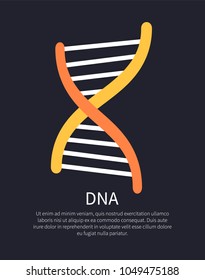 DNA yellow and orange helix colorful illustration isolated on black background, white vector lines, DNA code example, text sample on banner bottom