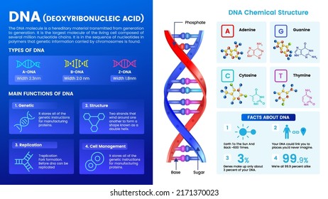 Ilustración de ADN-estructura, función y vector de descubrimiento