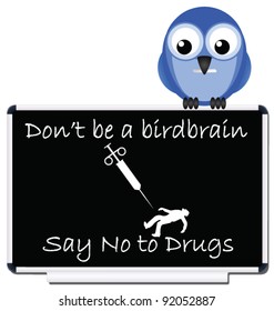 Do not be a birdbrain say no to drugs message