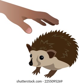 Do not eat hedgehogs. Save the hedgehogs. Protection of hedgehogs from danger. The hand and the hedgehog.  Vector image.