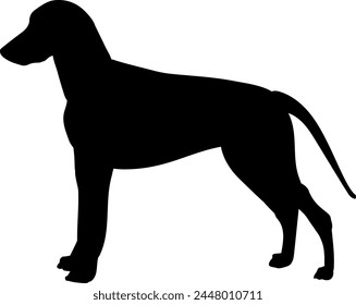 The Doberman is a breed of dog known for its loyalty and high intelligence. They make excellent guards due to their strength, grace, and vigilance. Friendly yet watchful, they serve as reliable compan