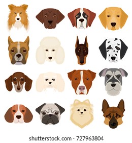 Doberman, Dalmatian, Dachshund, Spitz, Stafford and other breeds of dogs.Muzzle of the breed of dogs set collection icons in cartoon style vector symbol stock illustration web.