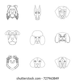 Doberman, Dalmatian, Dachshund, Spitz, Stafford and other breeds of dogs.Muzzle of the breed of dogs set collection icons in outline style vector symbol stock illustration web.