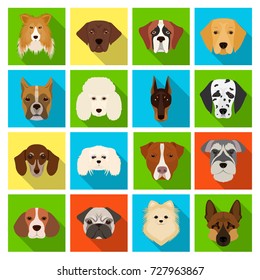 Doberman, Dalmatian, Dachshund, Spitz, Stafford and other breeds of dogs.Muzzle of the breed of dogs set collection icons in flat style vector symbol stock illustration web.