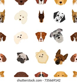 Doberman, Dalmatian, Dachshund, Spitz, Stafford and other breeds of dogs.Muzzle of the breed of dogs set collection icons in cartoon style vector symbol stock illustration web.