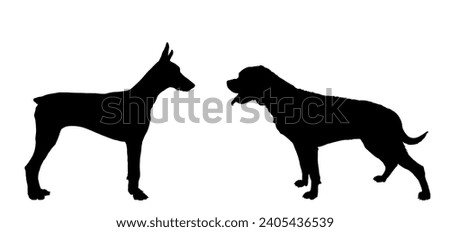 Doberman dog against rottweiler vector silhouette illustration isolated. German military guardian dogs breed for detecting smuggling drugs. Dog best friend. Alert guard attention. Man loyal assistant