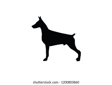 Doberman dog animal black silhouette symbol icon