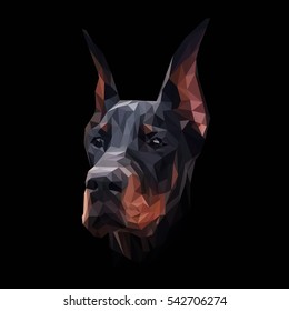 Doberman dog animal low poly design. Triangle vector illustration.