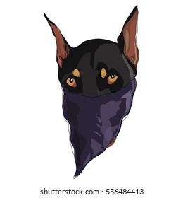 Doberman dog with bandanna
