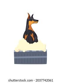 doberman dog bathing character icon