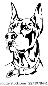 Doberman, Hund, Schwarz-Weiß-Illustration, Schablone. Für Laserschneiden und Gravieren, Plotterschneiden. T-Shirt-Druck. Stockvektorbild einzeln auf weißem Hintergrund. Tattoo