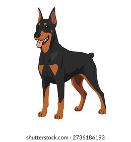 Doberman dog cartoon vector illustration isolated on white background. Flat design dog character with black and tan coat, pointed ears, athletic body, and confident friendly expression. Perfect for pet-related designs, dog breed illustrations, security themes, mascots, stickers, icons, posters, and animal graphics.