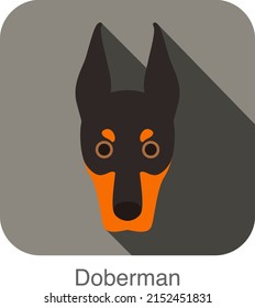 Doberman dog face flat icon, dog series