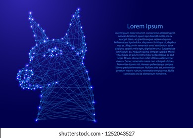 Doberman dog head from futuristic polygonal blue lines and glowing stars for banner, poster, greeting card. Vector illustration.