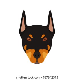 Doberman dog head. Portrait of dog. Vector illustration. 