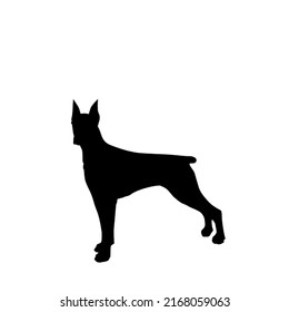 Doberman Dog Icon Silhouette Black