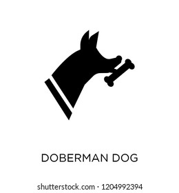 Doberman dog icon. Doberman dog symbol design from Dogs collection. Simple element vector illustration on white background.