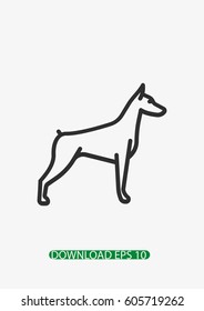Doberman dog icon, Vector