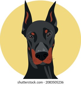 Perro Doberman con un fondo contrastante