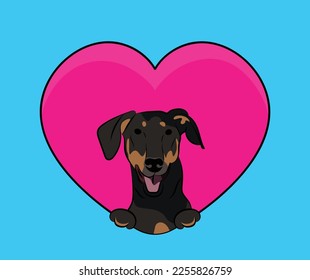 Doberman dog with paws in a big Valentine's day heart. Love heart with pet head and heart. Dog face Holding Pink Heart Cartoon Icon. St Valentine's day for dog funs. Holiday card with dog character.