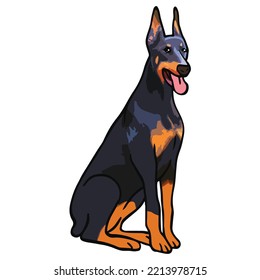 Doberman Dog Pet Colored Drawing