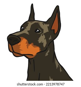 Doberman Hund Farbige Zeichnung
