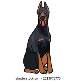 Doberman Dog Pet Colored Drawing