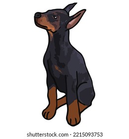 Dibujo coloreado de una mascota de perro doberman
