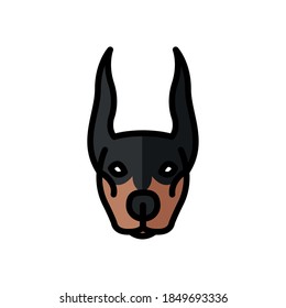 doberman dog pet mascot breed head character vector illustration design