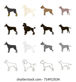 Doberman, dog poodle, boxer, breed pit bull. Dog breeds set collection icons in cartoon black monochrome outline style vector symbol stock illustration web.