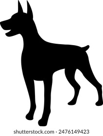 Doberman dog silhouette on white background. Vector Illustration.