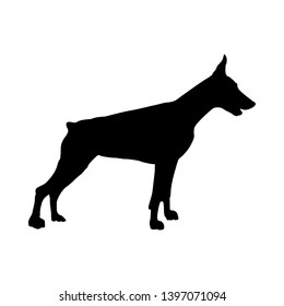 La silueta de perro doberman. Ilustración de vectores suaves.