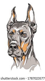 Esbozo de perro Doberman. Ilustración del vector